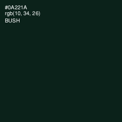 #0A221A - Bush Color Image