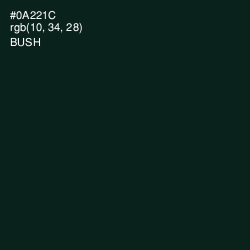 #0A221C - Bush Color Image