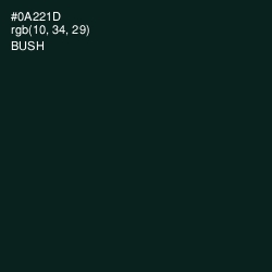 #0A221D - Bush Color Image