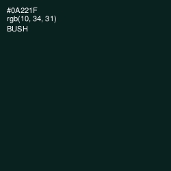 #0A221F - Bush Color Image