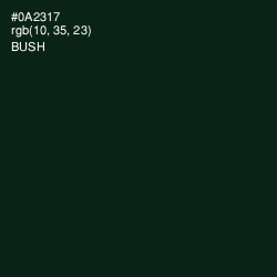 #0A2317 - Bush Color Image