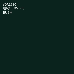 #0A231C - Bush Color Image