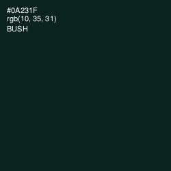 #0A231F - Bush Color Image