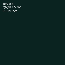 #0A2320 - Burnham Color Image