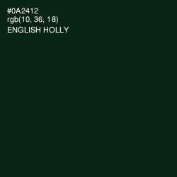 #0A2412 - English Holly Color Image