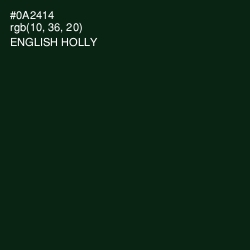 #0A2414 - English Holly Color Image