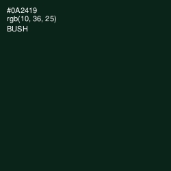 #0A2419 - Bush Color Image