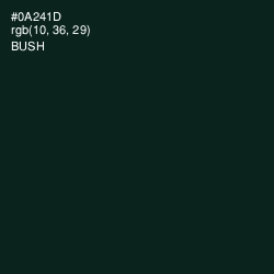 #0A241D - Bush Color Image