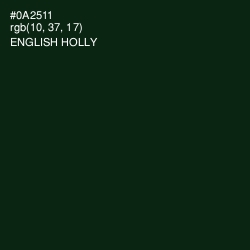 #0A2511 - English Holly Color Image