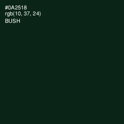 #0A2518 - Bush Color Image