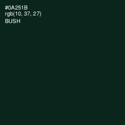 #0A251B - Bush Color Image