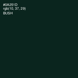 #0A251D - Bush Color Image
