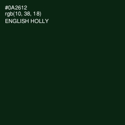 #0A2612 - English Holly Color Image