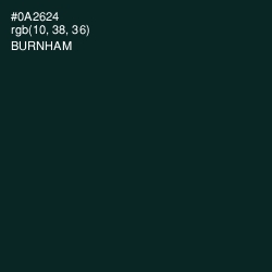 #0A2624 - Burnham Color Image