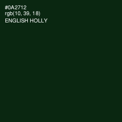 #0A2712 - English Holly Color Image