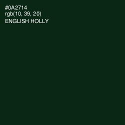 #0A2714 - English Holly Color Image