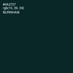 #0A2727 - Burnham Color Image