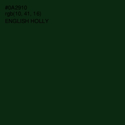 #0A2910 - English Holly Color Image