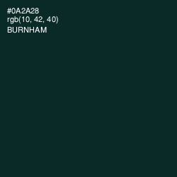 #0A2A28 - Burnham Color Image