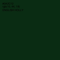 #0A2C12 - English Holly Color Image