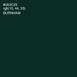 #0A2C23 - Burnham Color Image