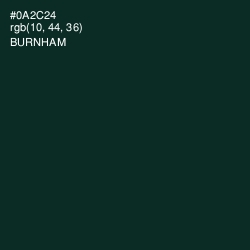 #0A2C24 - Burnham Color Image