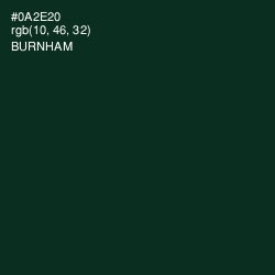 #0A2E20 - Burnham Color Image