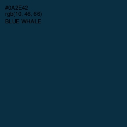 #0A2E42 - Blue Whale Color Image