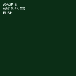 #0A2F16 - Bush Color Image