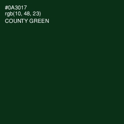 #0A3017 - County Green Color Image