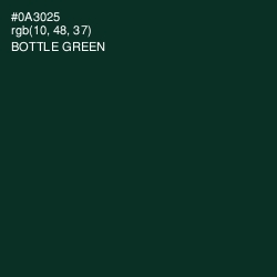 #0A3025 - Bottle Green Color Image