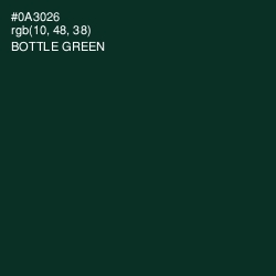 #0A3026 - Bottle Green Color Image
