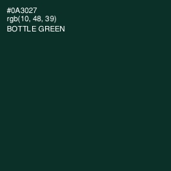 #0A3027 - Bottle Green Color Image