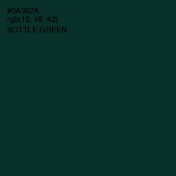 #0A302A - Bottle Green Color Image