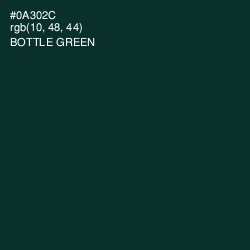 #0A302C - Bottle Green Color Image