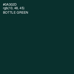#0A302D - Bottle Green Color Image