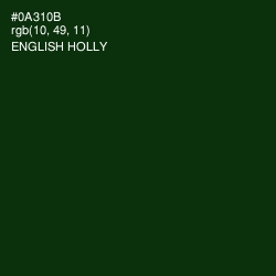 #0A310B - English Holly Color Image