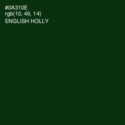 #0A310E - English Holly Color Image