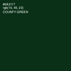 #0A3117 - County Green Color Image