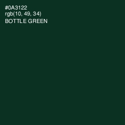 #0A3122 - Bottle Green Color Image