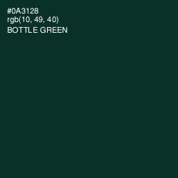 #0A3128 - Bottle Green Color Image