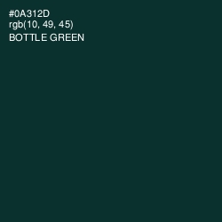 #0A312D - Bottle Green Color Image