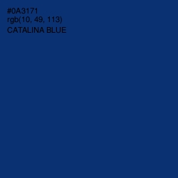 #0A3171 - Catalina Blue Color Image