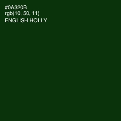 #0A320B - English Holly Color Image