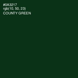 #0A3217 - County Green Color Image