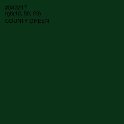 #0A3217 - County Green Color Image