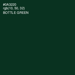 #0A3220 - Bottle Green Color Image