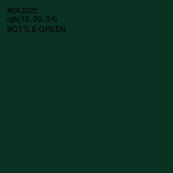 #0A3222 - Bottle Green Color Image