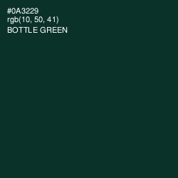 #0A3229 - Bottle Green Color Image