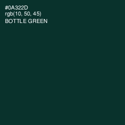 #0A322D - Bottle Green Color Image